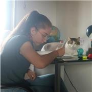 Ripetizioni di materie scientifiche del primo anno